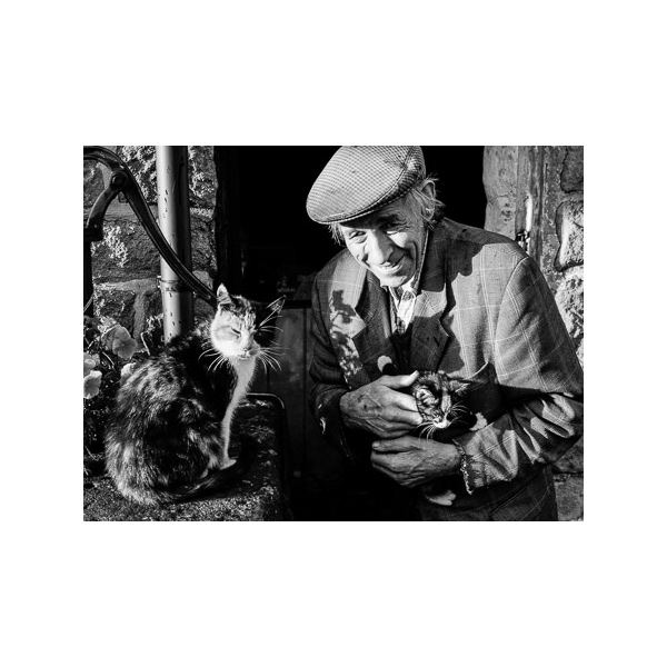 Peter Melbourne with his Cats, Chequer Meadow, Ashleyhay, October 2014.